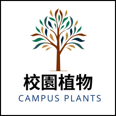 連結到校園植物(另開新視窗)